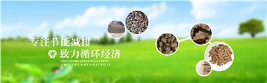 倪維斗院士：通過技術(shù)創(chuàng)新，大力發(fā)展超級能源生物質(zhì)燃料